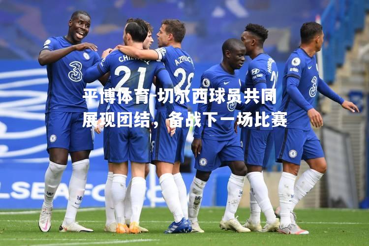 切尔西球员共同展现团结，备战下一场比赛